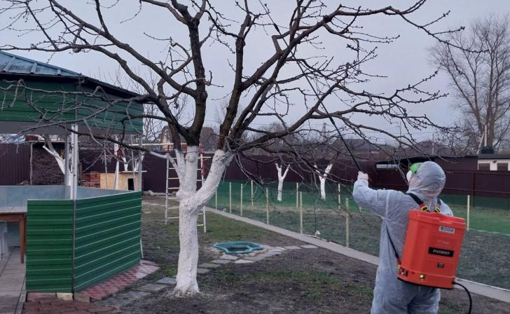 В Курске обработают парки и скверы от клещей