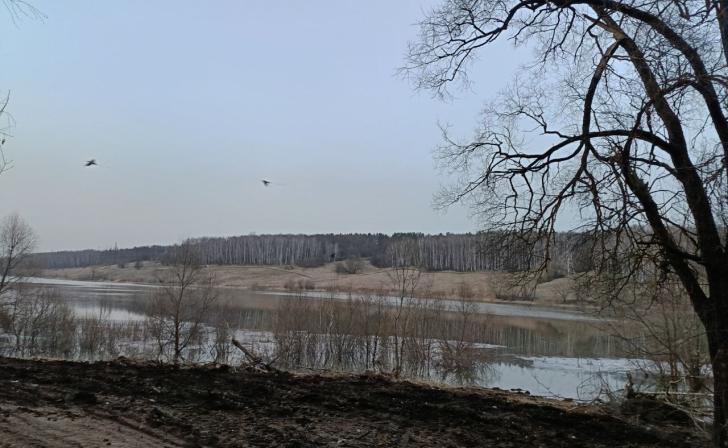 4 апреля в Курской области ожидаются дожди и 12 градусов тепла