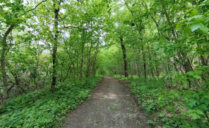 В Курской области объявлен пожароопасный сезон