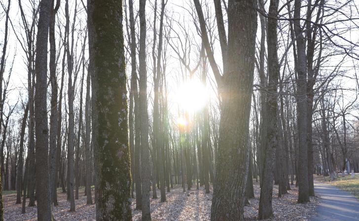 Волонтеры помогают курянам в голосовании за объекты благоустройства