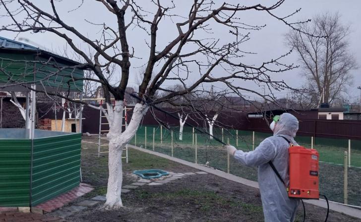 12 апреля в Курске проведут обработку от клещей в парке и сквере