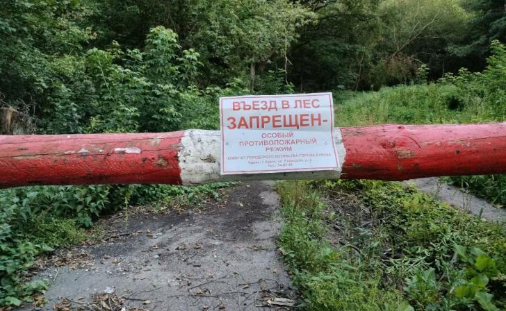В Курской области с 23 апреля ограничено пребывание в лесах
