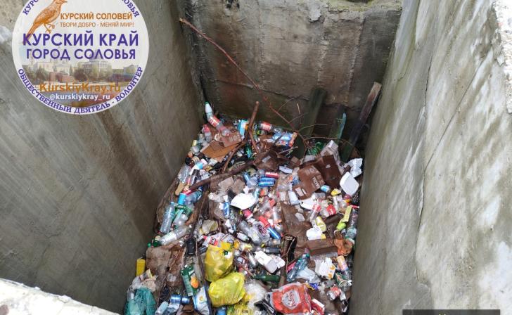 Волонтеры обнаружили свалку мусора на улице Маяковского в Курске