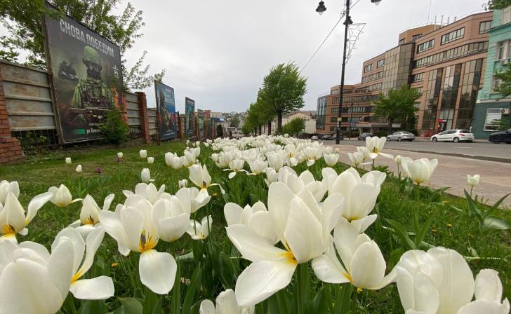 В Курске руководство «Зеленстроя» опровергло финансовые проблемы В Курске руководство «Зеленстроя» опровергло финансовые проблемы