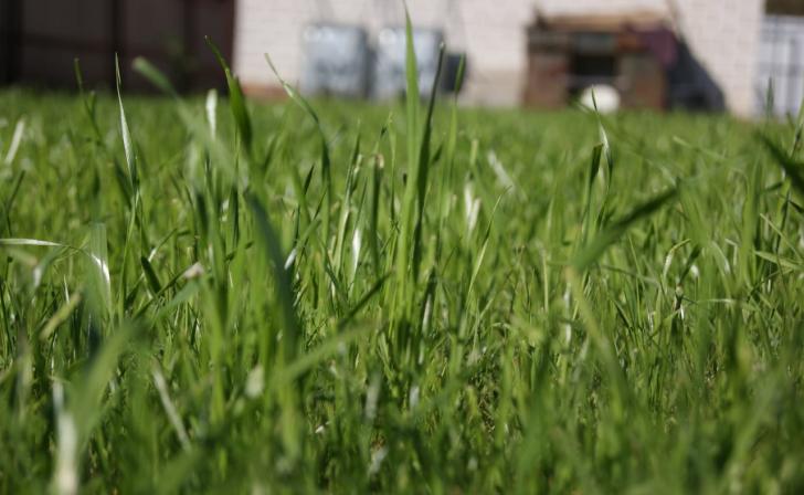 В Курской области женщине не удалось взыскать с агрофирмы неустойку В Курской области женщине не удалось взыскать с агрофирмы неустойку