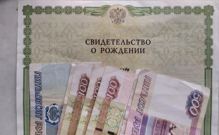 В Курске судят женщину за мошенничество с маткапиталом