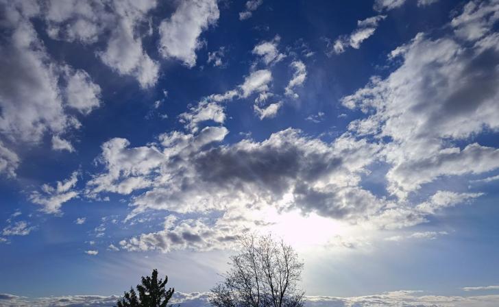 15 мая в Курской области ожидается до 17 градусов тепла