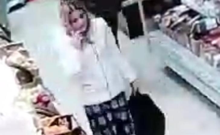 В Курске устанавливаются личности мужчины и женщины, подозреваемых в краже