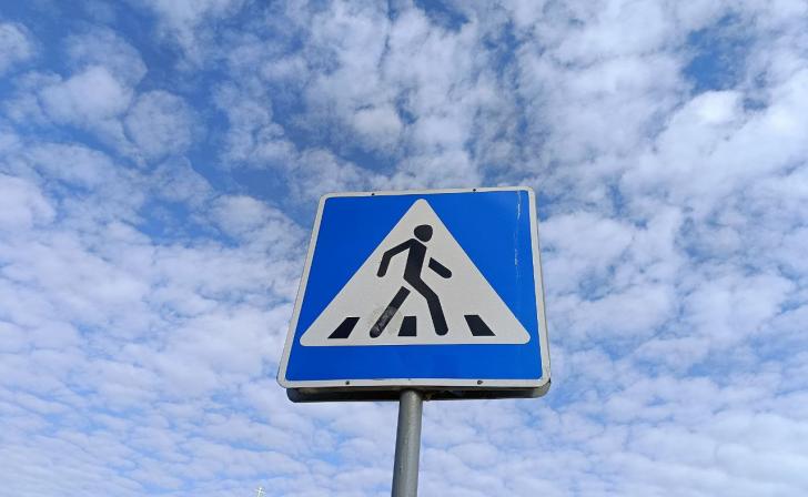 В Курской области 27 пешеходов нарушили ПДД