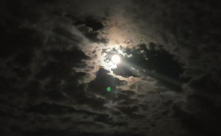 Над Курской областью перехватили беспилотник