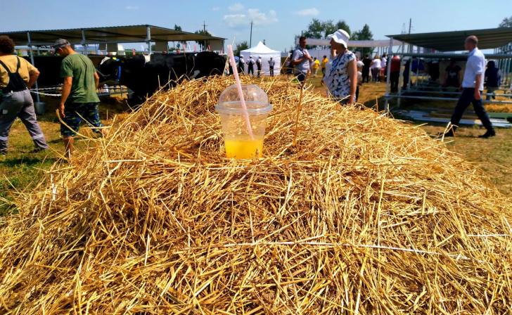 В Курской области 2 июня ожидается до 30 градусов жары