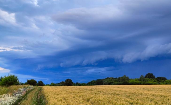 В Курской области готовятся к грозе с градом