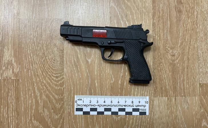 6 единиц оружия изъяли у жителей Курской области за неделю