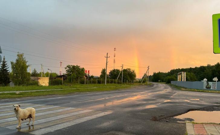 В Курской области ожидаются кратковременные дожди и 30 градусов жары