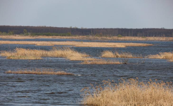 В Курске на завершение строительства Курского водохранилища выделят 9,5 млрд
