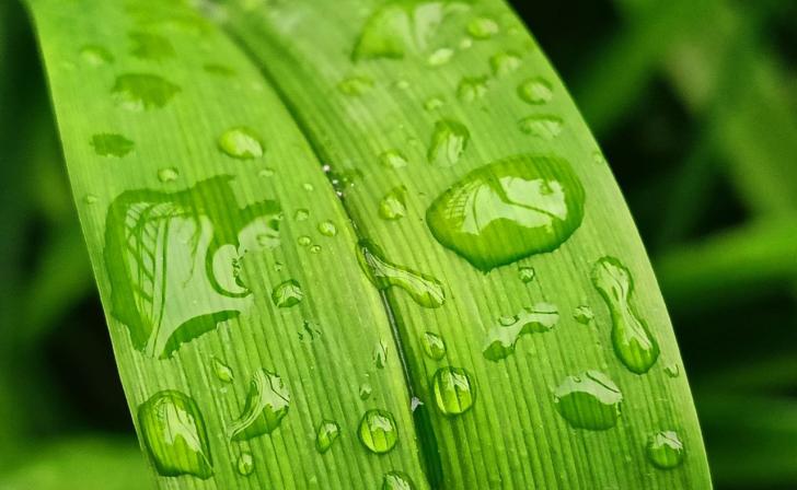 21 июня в Курской области ожидается 20 градусов тепла