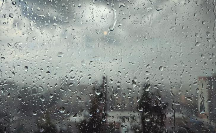 В Курской области ожидаются дожди и грозы