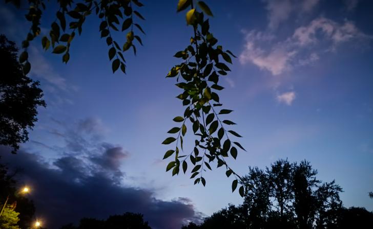 В Курской области ночью была опасность атаки БПЛА