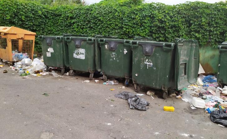 В 7 деревнях Золотухинского района нет площадок для сбора мусора