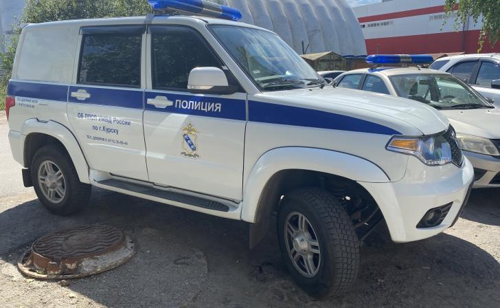 В Железногорске Курской области разыскивается 5-летняя девочка