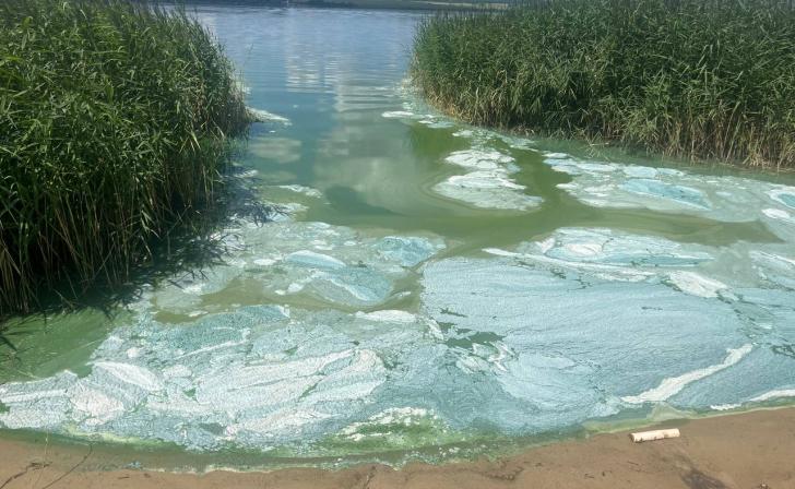 Прокуратура выясняет причины загрязнения водоема в селе Игино Курской области