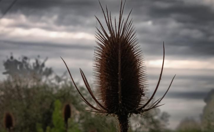 Рано утром в Курской области объявили о ракетной опасности