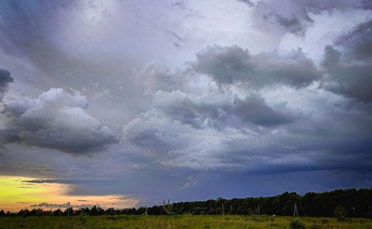 В пятницу в Курской области ожидаются дожди