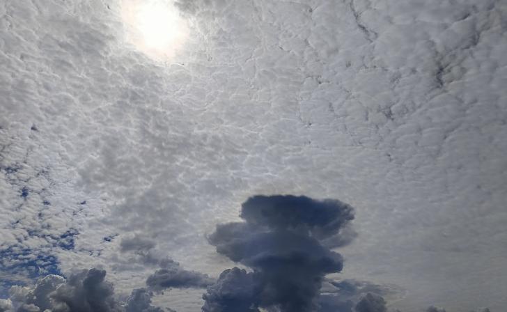 Над Курской областью сбили беспилотник