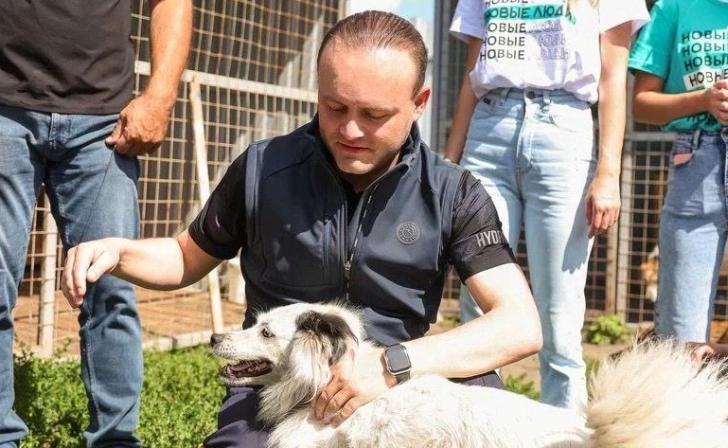 «Новые люди» эвакуируют питомцев курского приюта для бездомных животных «Новые люди» эвакуируют питомцев курского приюта для бездомных животных