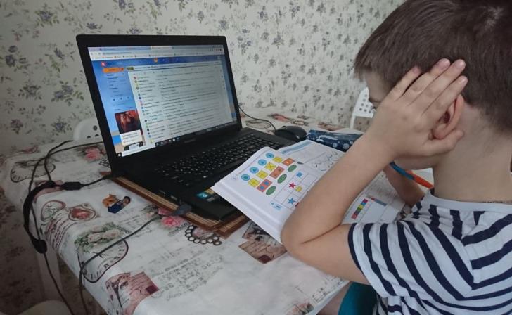 В Курской области в 114-ти школах введен дистанционный режим обучения