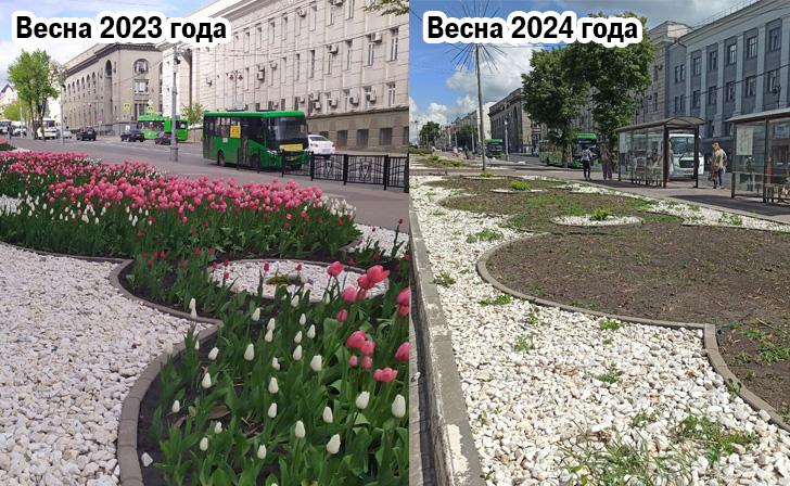 Компания «ТОЧНО» провалила работы по содержанию клумб на курской улице Ленина