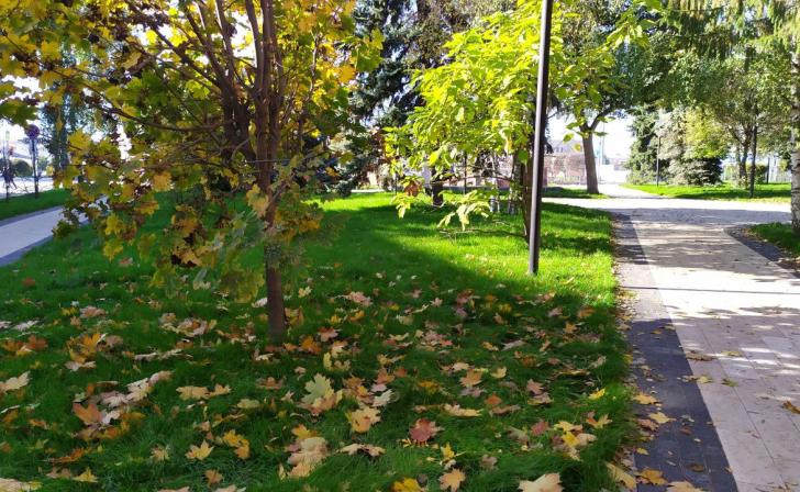 В Курской области 14 сентября ожидается жара до 31 градуса