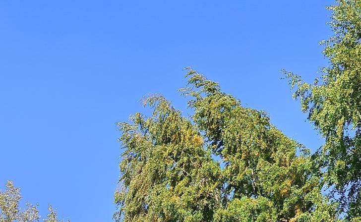 Над Курской областью сбили украинский беспилотник самолётного типа