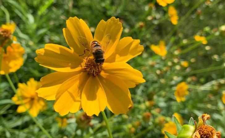 18 сентября в Курской области ожидается до 26 градусов тепла