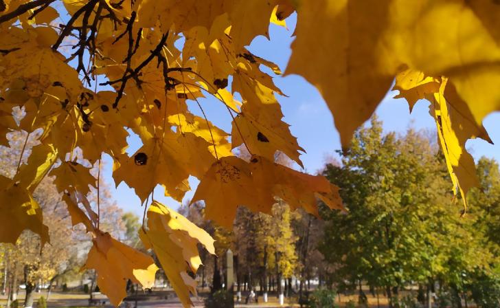 Теплее нормы будет октябрь в Центральной России