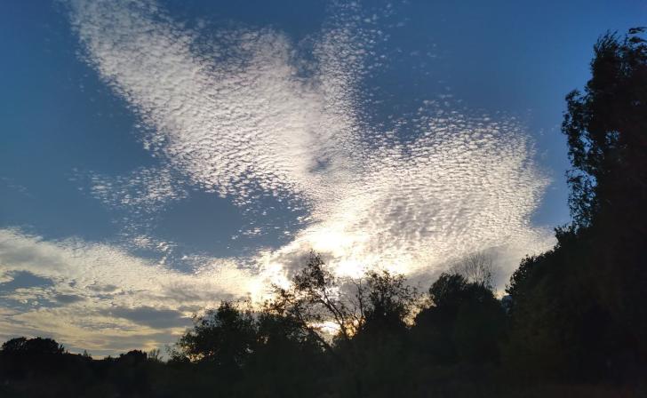 Над Курской областью был сбит украинский беспилотник