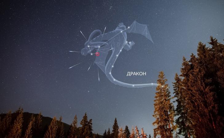 Курян приглашают полюбоваться звёздным дождём