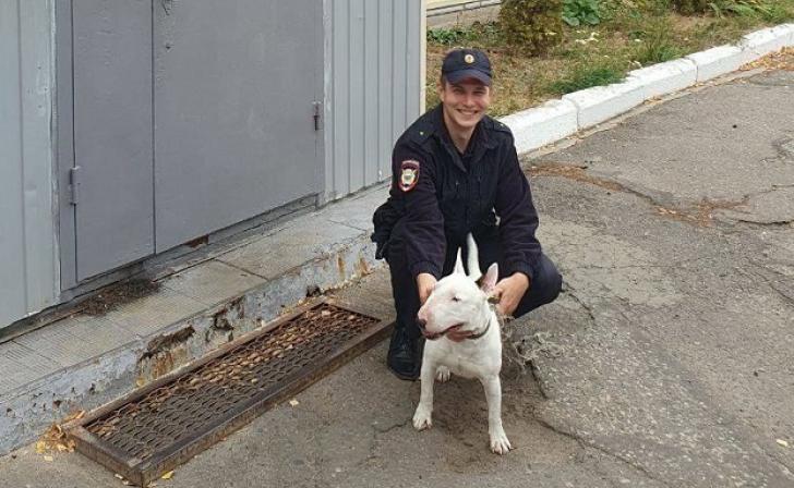 В Курске ищут хозяина бультерьера, которого в полицию привели дети