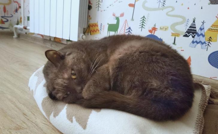 В приграничном Рыльском районе отопительный сезон планируют начать на следующей неделе