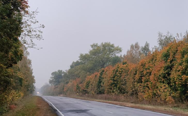 Над Курской областью сбили 2 ракеты