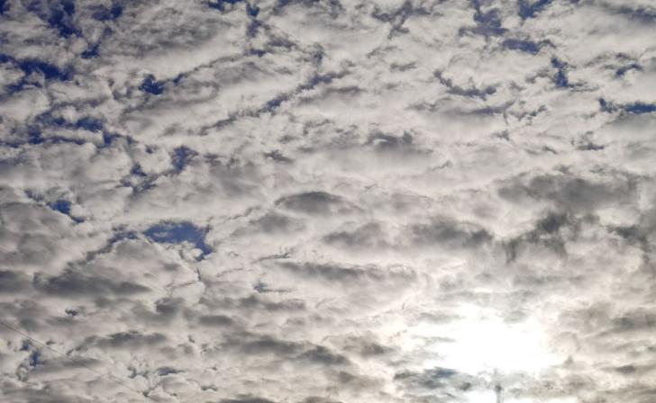 В Курской области 23 октября ожидается до 15 градусов тепла