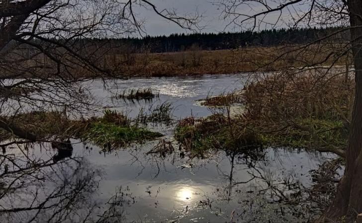 В Курской области 25 октября ожидаются небольшие дожди