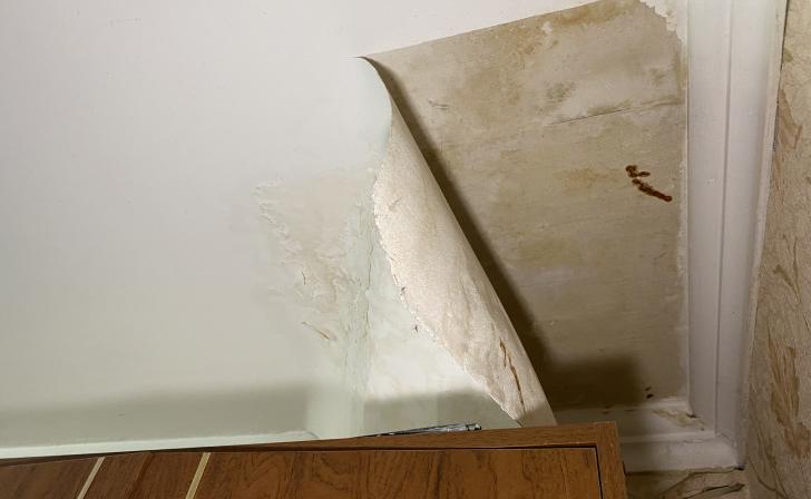 В Курске с управляющей компании взыскали 724 тысячи за сырость и плесень в квартире