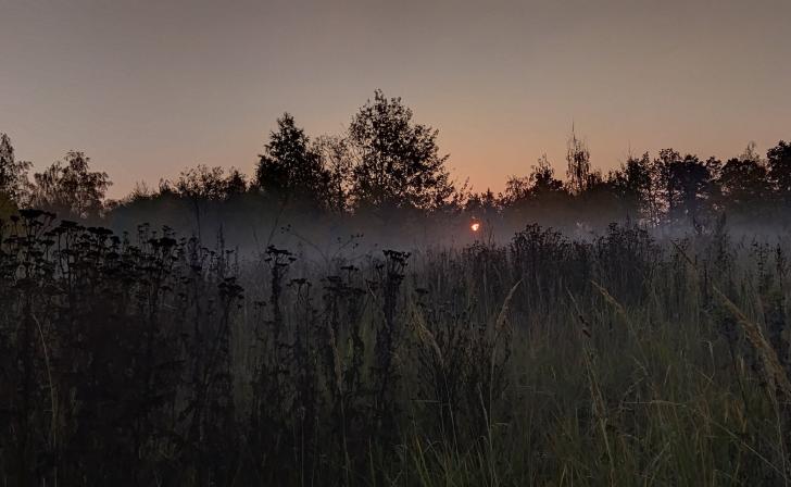 В Курск 28 октября вернулся запах гари