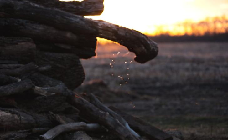 В Курской области продолжается заготовка дров для военнослужащих