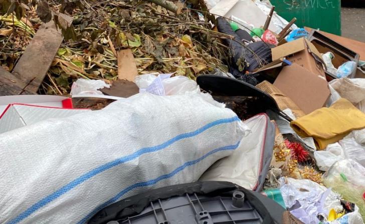 Мэр Курска назвал состояние контейнерных площадок антисанитарией