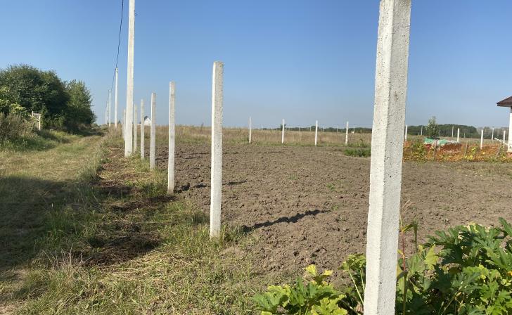 Суд обязал мэрию Курска выделить бесплатные участки для многодетных