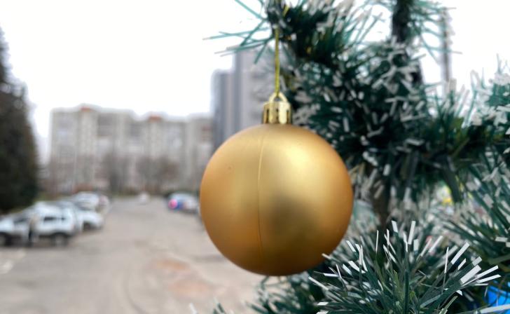 Куряне могут помочь с новогодними украшениями «Социальному навигатору »