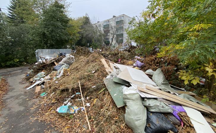 В Курске в Центральном округе за год ликвидировали 67 свалок