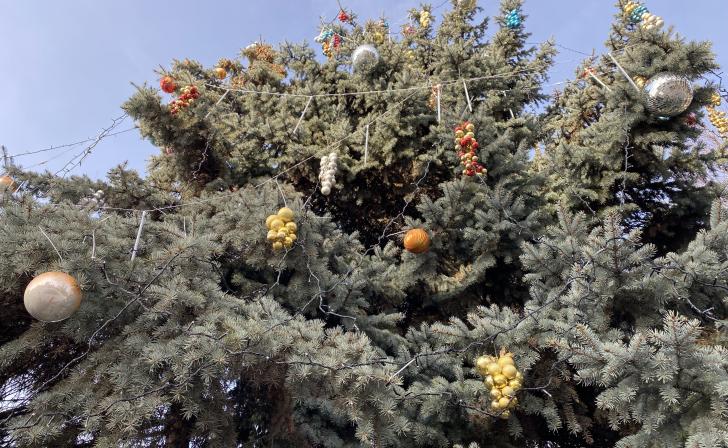 В Курске начался монтаж новогодних ёлок в трех округах